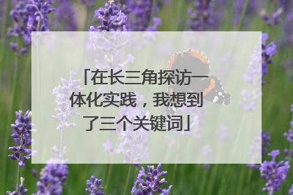 在长三角探访一体化实践，我想到了三个关键词
