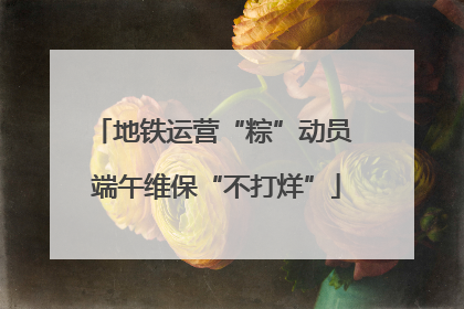 地铁运营“粽”动员 端午维保“不打烊”