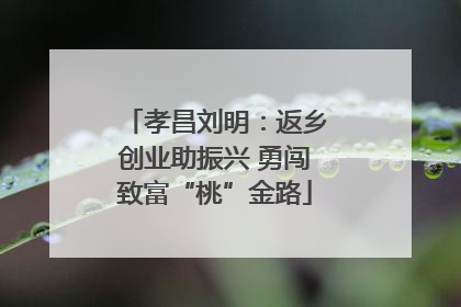 孝昌刘明：返乡创业助振兴 勇闯致富“桃”金路