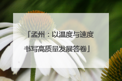 孟州：以温度与速度书写高质量发展答卷