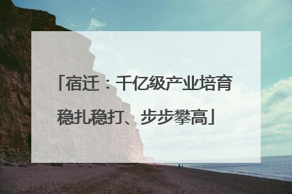 宿迁：千亿级产业培育稳扎稳打、步步攀高
