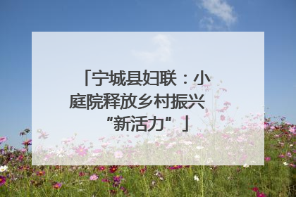 宁城县妇联：小庭院释放乡村振兴“新活力”