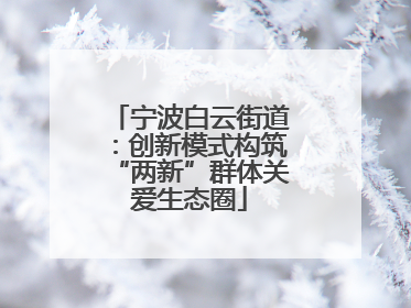宁波白云街道：创新模式构筑“两新”群体关爱生态圈