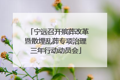 宁远召开殡葬改革暨散埋乱葬专项治理三年行动动员会