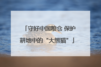 守好中国粮仓 保护耕地中的“大熊猫”