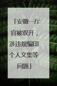 安徽一厅官被双开，涉违规编印个人文集等问题