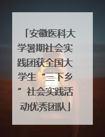 安徽医科大学暑期社会实践团获全国大学生“三下乡”社会实践活动优秀团队