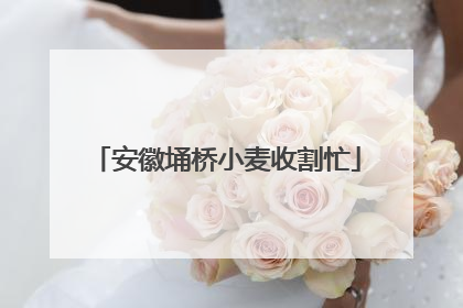 安徽埇桥小麦收割忙