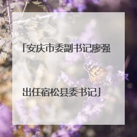 安庆市委副书记廖强出任宿松县委书记