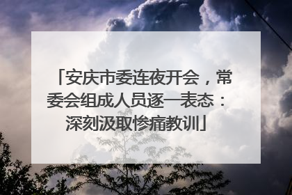 安庆市委连夜开会，常委会组成人员逐一表态：深刻汲取惨痛教训