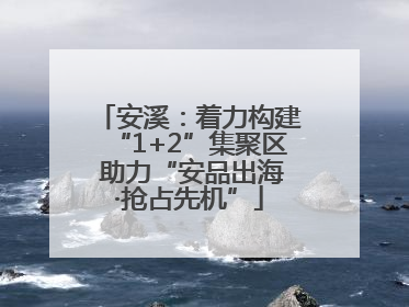 安溪：着力构建“1+2”集聚区 助力“安品出海·抢占先机”