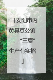 安阳市内黄县豆公镇：“三夏”生产有实招