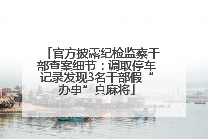 官方披露纪检监察干部查案细节：调取停车记录发现3名干部假“办事”真麻将