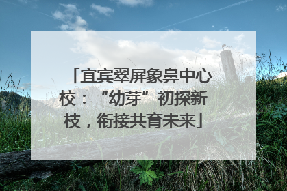 宜宾翠屏象鼻中心校：“幼芽”初探新枝，衔接共育未来