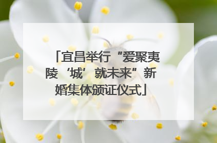 宜昌举行“爱聚夷陵‘城’就未来”新婚集体颁证仪式