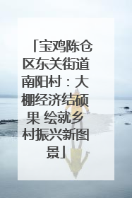 宝鸡陈仓区东关街道南阳村：大棚经济结硕果 绘就乡村振兴新图景