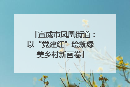 宣威市凤凰街道：以“党建红”绘就绿美乡村新画卷