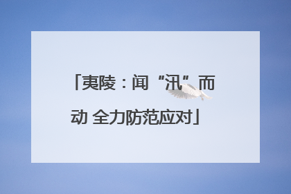 夷陵：闻“汛”而动 全力防范应对