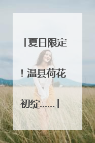 夏日限定！温县荷花初绽……