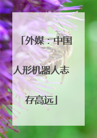 外媒：中国人形机器人志存高远
