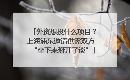 外资想投什么项目？上海浦东邀请供需双方“坐下来掰开了谈”