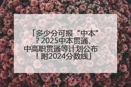 多少分可报“中本”？2025中本贯通、中高职贯通等计划公布！附2024分数线