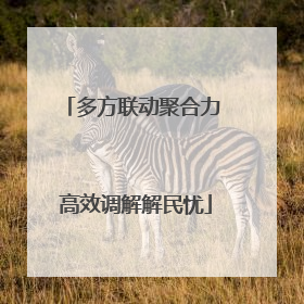 多方联动聚合力 高效调解解民忧