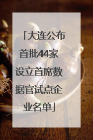 大连公布首批44家设立首席数据官试点企业名单