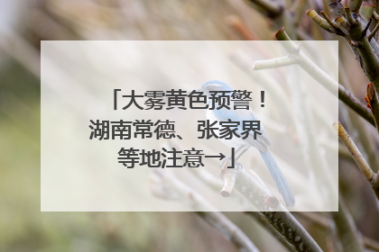大雾黄色预警！湖南常德、张家界等地注意→