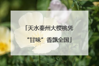 天水秦州大樱桃凭“甘味”香飘全国