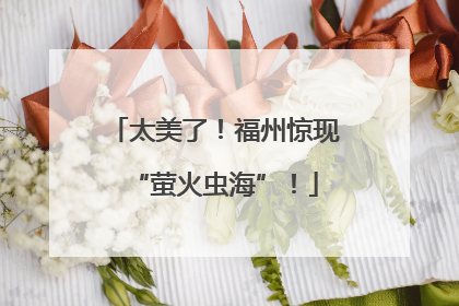 太美了！福州惊现“萤火虫海”！