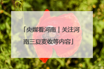央媒看河南｜关注河南三夏麦收等内容