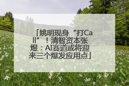 姚明现身“打Call”！清智资本张煜：AI赛道或将迎来三个爆发应用点