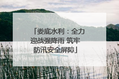 娄底水利：全力迎战强降雨 筑牢防汛安全屏障