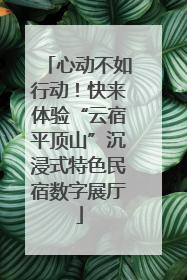 心动不如行动！快来体验“云宿平顶山”沉浸式特色民宿数字展厅