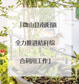 微山县南阳镇全力推进秸秆综合利用工作
