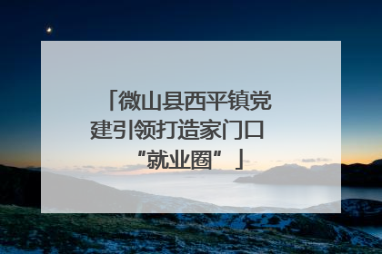 微山县西平镇党建引领打造家门口“就业圈”