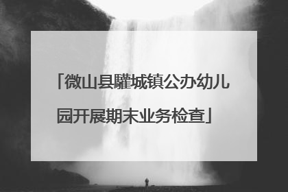 微山县驩城镇公办幼儿园开展期末业务检查