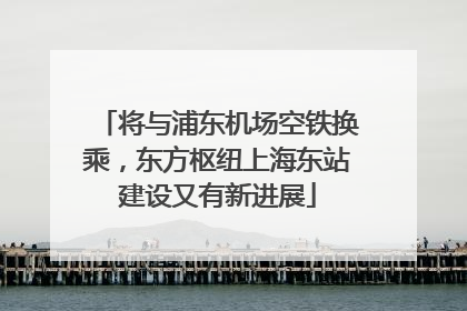 将与浦东机场空铁换乘，东方枢纽上海东站建设又有新进展