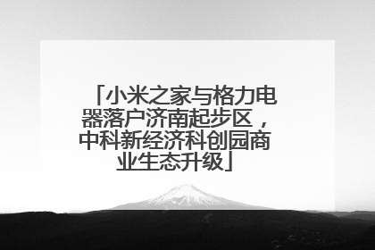 小米之家与格力电器落户济南起步区，中科新经济科创园商业生态升级