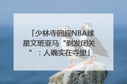 少林寺回应NBA球星文班亚马“剃发闭关”：人确实在寺里