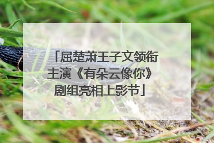 屈楚萧王子文领衔主演《有朵云像你》剧组亮相上影节