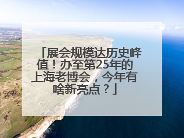 展会规模达历史峰值！办至第25年的上海老博会，今年有啥新亮点？