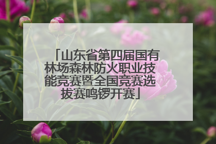 山东省第四届国有林场森林防火职业技能竞赛暨全国竞赛选拔赛鸣锣开赛