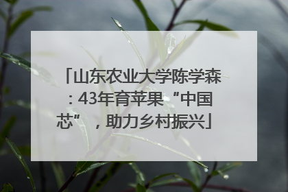山东农业大学陈学森：43年育苹果“中国芯”，助力乡村振兴