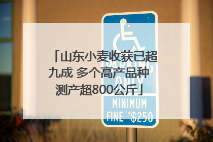 山东小麦收获已超九成 多个高产品种测产超800公斤