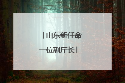 山东新任命一位副厅长