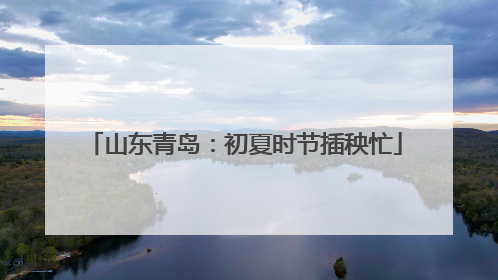 山东青岛：初夏时节插秧忙