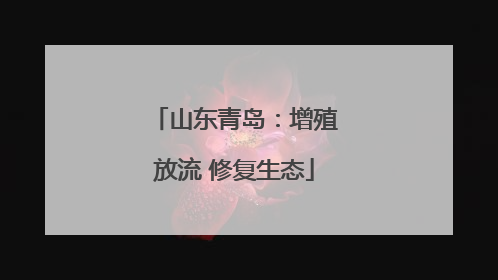 山东青岛：增殖放流 修复生态