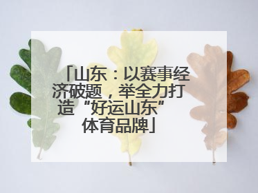 山东：以赛事经济破题，举全力打造“好运山东” 体育品牌